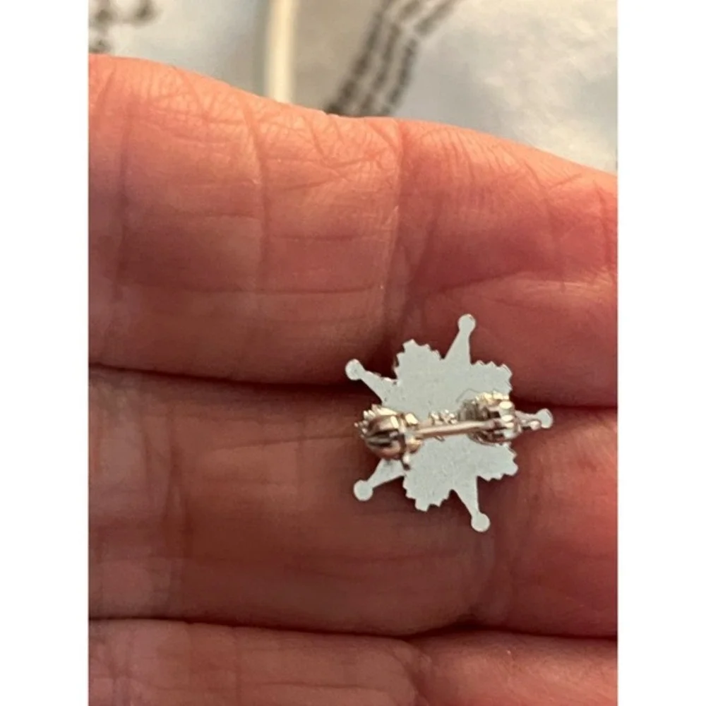 Grange Of The Order Of Patrons Of Husbandry‎ Pin Silver